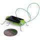 Робот сверчок на солнечных батареях
